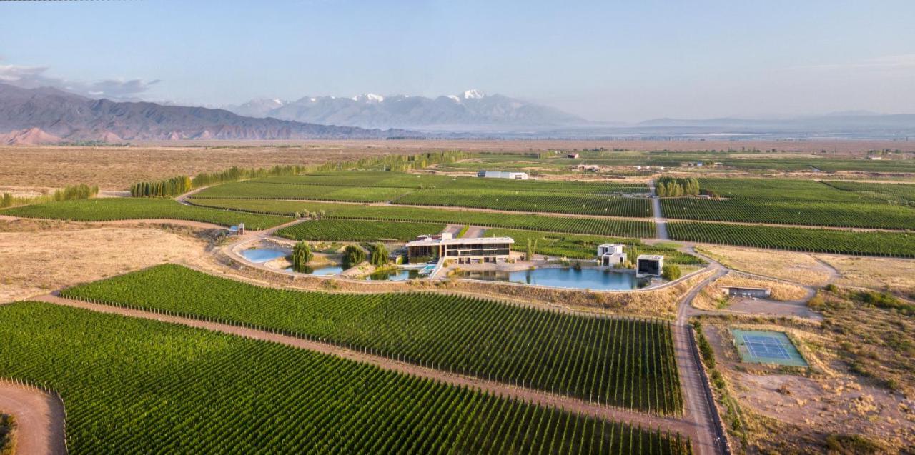 Casa De Uco Vineyards And Wine Resort Los Árboles Zewnętrze zdjęcie