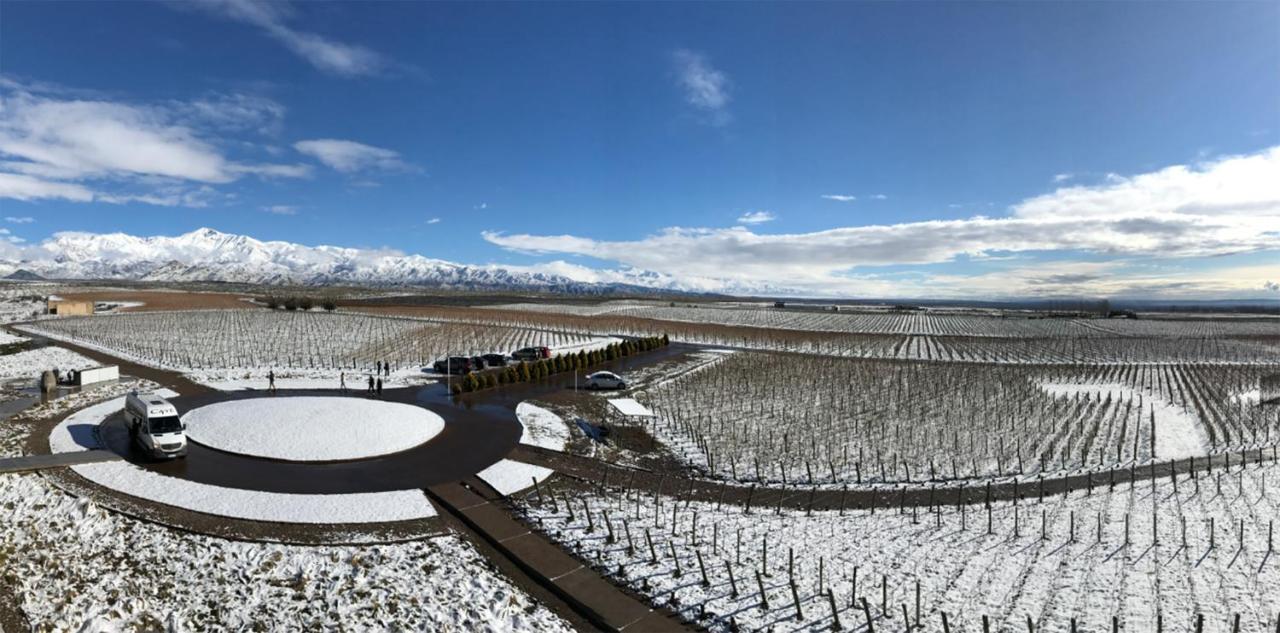 Casa De Uco Vineyards And Wine Resort Los Árboles Zewnętrze zdjęcie